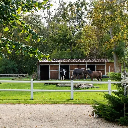 Le Château Souvigny