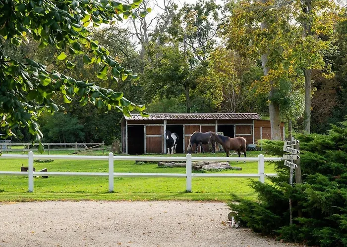 Le Château Souvigny